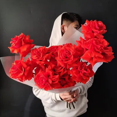 Роза красная Нина Вейбулл: купить саженцы зимостойкого сорта роз