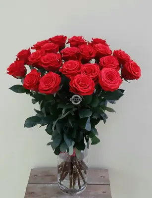 Букет французских роз сорта Нина | Цена — 1750 ₽ | Бесплатная доставка в  Казани | Арт: 23508