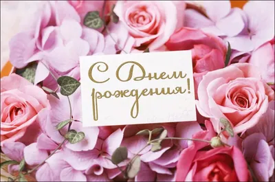 С днем рождения ниночка красивые поздравления - фото и картинки  abrakadabra.fun