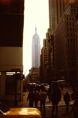 Эмпайр Стейт Билдинг, Нью-Йорк — фото, высота небоскреба, смотровая, билеты  | Туристер.Ру