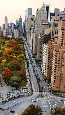 Обои США, Нью-Йорк, город, небоскребы, парк, деревья, осень 1920x1440 HD  Изображение