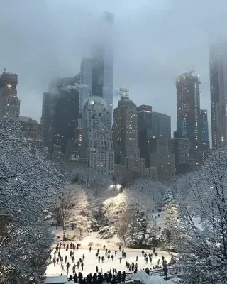 Почувствуйте атмосферу Нью-Йорка перед Рождеством. Рокфеллерская ёлка. -  YouTube