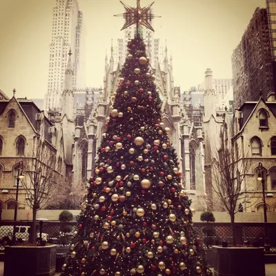 Рождественский Нью-Йорк