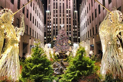Рождество и Новый год в легендарном отеле The Plaza, Нью-Йорк -  Travelinsider