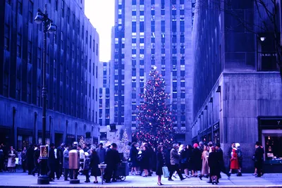 Нью-Йорк перед Рождеством - America's Roads