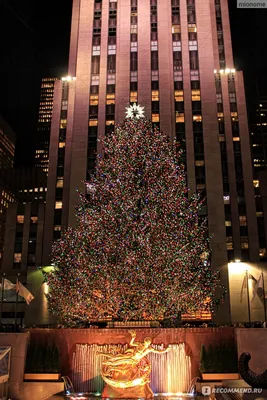Природа, города - Алмазная картина (мозаика) \"Рождество в Нью-Йорке\" Р.  Финале 40*50 см