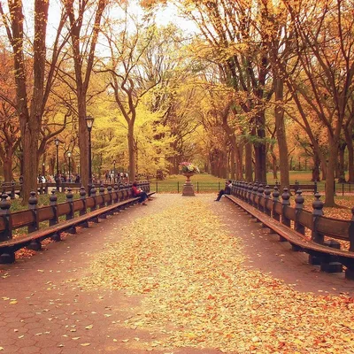 Осень в Нью-Йорке: 10 причин почему