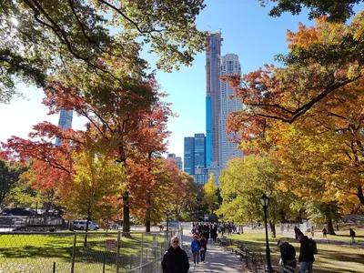 Осень в Нью-Йорке | Пикабу