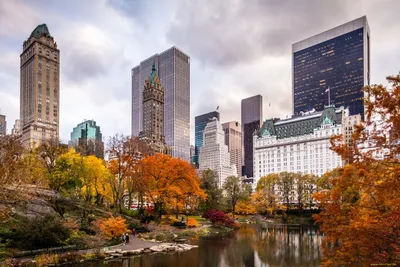 Онлайн пазл «Осень в Нью-Йорке»