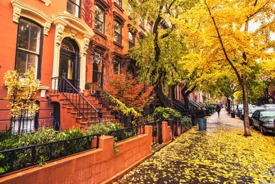 Лучшая осенняя листва в Нью-Йорке