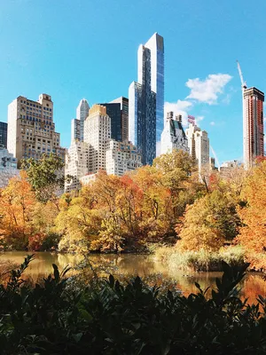 Чем заняться осенью в Нью-Йорке - самые яркие локации