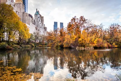 Осень в Central Park