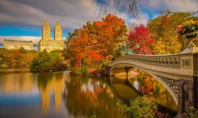 Осень в Нью-Йорке, вид из парка на небоскребы - обои на рабочий стол