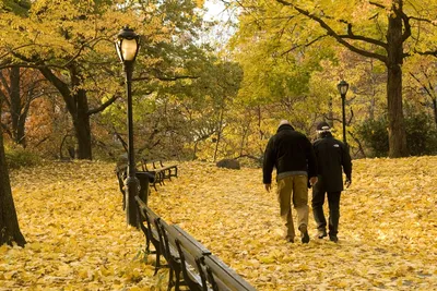 Прогулки по Нью-Йорку: Осень в Нью-Йорке