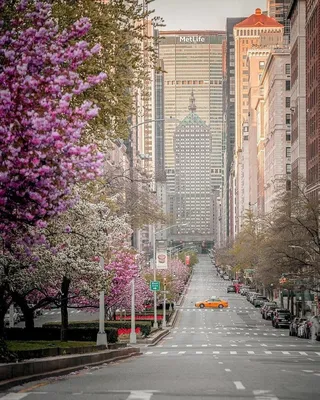 Central Park в осени, Нью-Йорк Стоковое Изображение - изображение  насчитывающей листья, падение: 39280521