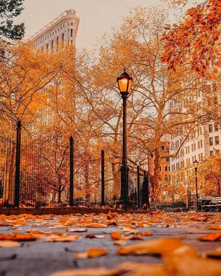 Осень в Нью-Йорке! 10 причин купить туры в Нью-Йорк осенью | Блог