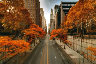 Куда поехать в октябре: осень в Нью-Йорке - Tochka.net