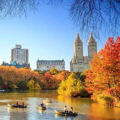 Нью-Йорк, Нью-Йорк: осень в кадре - Chance for Traveller
