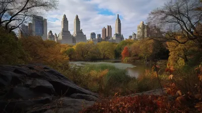 Обои США, Нью-Йорк, город, небоскребы, парк, деревья, осень 1920x1440 HD  Изображение
