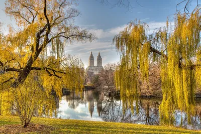 Центральный Парк Осенью, Нью-Йорк, США. Фотография, картинки, изображения и  сток-фотография без роялти. Image 67305616