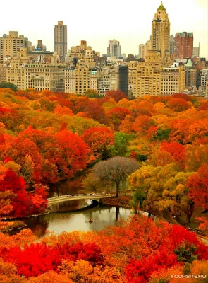Чем необычна осень в Нью-Йорке?
