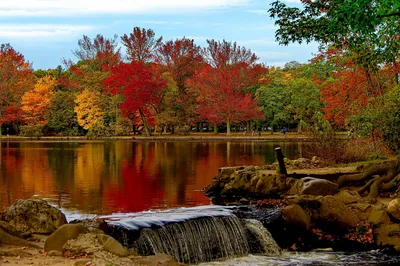 Обои на рабочий стол Осень в Central Park, New York / Центральном парке, Нью -Йорк. Фотограф John S, обои для рабочего стола, скачать обои, обои  бесплатно