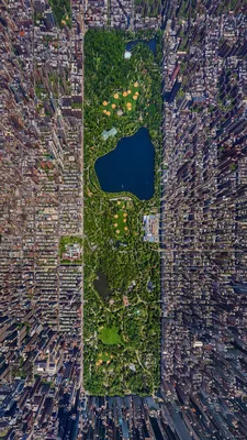 Фотографии Нью-Йорк Манхэттен штаты Central Park парк Ночные