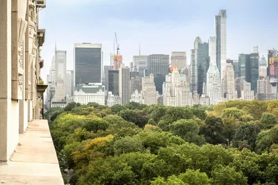 Вид с воздуха на Нью-Йорк, в котором доминирует Центральный парк - PICRYL  Изображение в общественном достоянии
