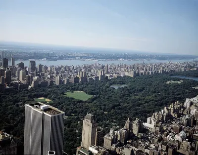 Нью-Йорк, централ парк, солнечная …» — создано в Шедевруме
