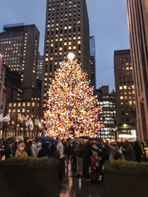 Увидеть Рождество в самом Нью-Йорке 😍✔️ Наконец-то исполнила свое детское  желание, увидеть все эти елки и кадры с фильма «Один дома»… | Instagram