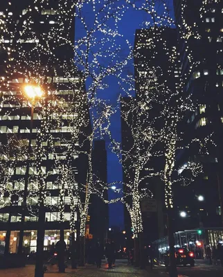 Dior оформил к Рождеству фасад универмага в Нью-Йорке | myDecor