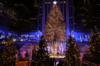 Нью-Йорк зимой: куда сходить во время Рождества и Нового года — Яндекс  Путешествия