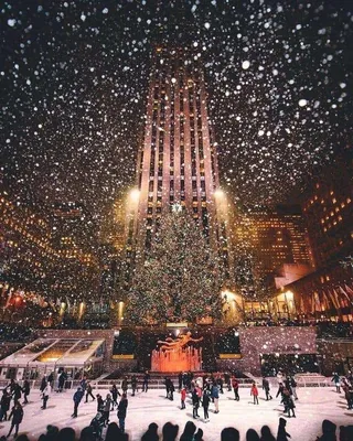 Звезда из 3 миллионов кристаллов: рождественскую ель зажгли в Нью-Йорке -  05.12.2019, Sputnik Беларусь