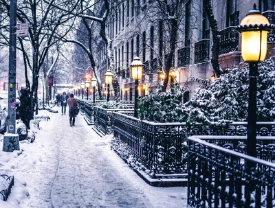 Онлайн пазл «Зима в Нью Йорке»