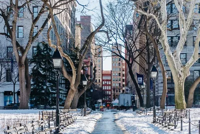 Зима в Нью-Йорке | Блог Елены Захаровой