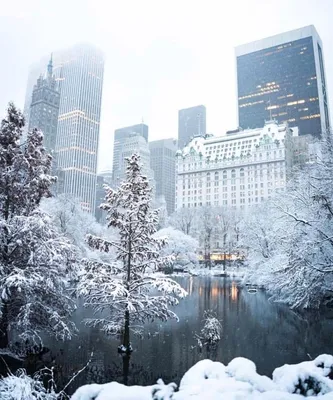 Зимний Нью-Йорк под снегом обои - обои на рабочий стол