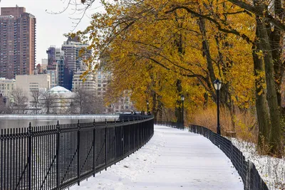 Зимний нью йорк - фото и картинки: 65 штук