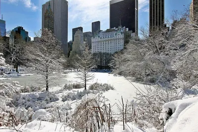 Год в Нью-Йорке: зима и весна
