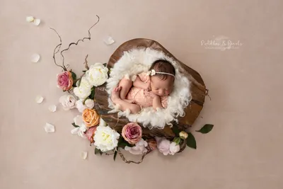 baby girl perfection {boulder newborn photographer}
