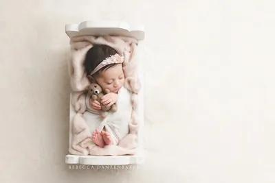 Newborn Portraits | Bella Baby Photography