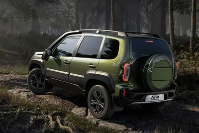 Picture gallery: Lada Niva 4×4 – Russian old school off-road | Offroad, Niva,  Toyota tacoma prerunner