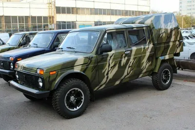 Нива 2131 Бронто-Рысь-II — Lada 4x4 5D, 1,7 л, 2011 года | другое | DRIVE2