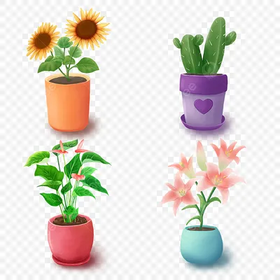 Купить Мини-зеленые растения, маленькие растения в горшках, искусственные  цветы, украшения для рабочего стола по выгодной цене в интернет-магазине  OZON.ru (1260753552)