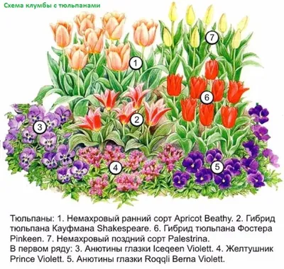Заказать \"Мини-букет из сухоцветов #7\" | Цветули - уникальный сервис по  доставке цветов без накруток и посредников в городе Новосибирск