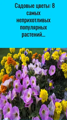 Мини букет - Доставкой цветов в Москве! 30575 товаров! Цены от 487 руб.  Цветы Тут
