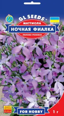 Хесперис Ночная фиалка, смесь 0,6 г сер. 1+1 Н14 - купить с доставкой  почтой, оптом и в розницу, цены, фото - интернет-магазин Dolinasad.by