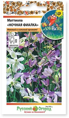 Купить Ночная фиалка белая 0,5 гр. Семена Украины | Цена, фото и описание