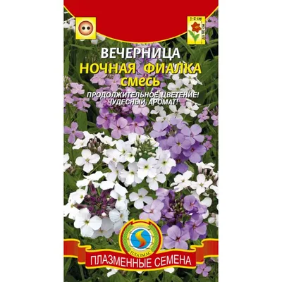 Матиола Ночная фиалка 0,5гр Городок РБ: продажа, цена в Молодечно. Семена и  клубни трав и цветов от \"ЧТПУП «Мир Дачника»\" - 170186128