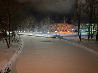 Зимняя ночь. Фотограф Александр Гвоздь