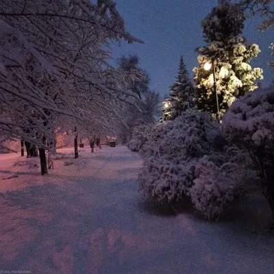 Ночная зима фото фотографии